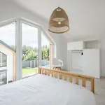 Spacerova Casa vacanze *